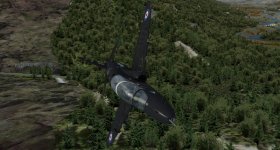 hawk3.jpg