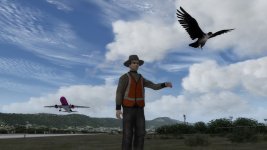 3aerosoft_airport_avatars_falconer_split_2.jpg