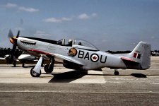 mus30-9567.jpg