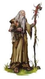 elder_druid_by_caiomm-d7ar12n.jpg