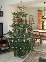 Christmas_Tree_smal.jpg