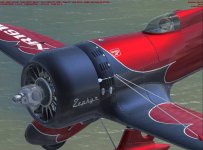 Condor-2017-jan-11-006.jpg