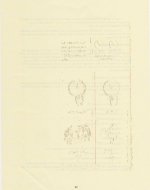 page 22.jpg