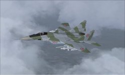 iris_mig29_nk553.jpg