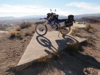 Bike Arrow.jpg
