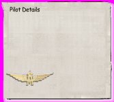 dlg_pilotdetails_bel.jpg
