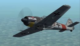 FW190A-7 JG1.jpg