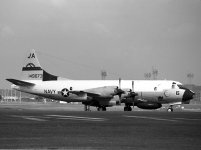 2581-4.jpg