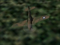 P-40E Pike Oct 1942  001.jpg