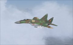 iris_mig29_ddr745.jpg