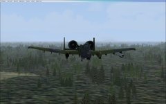 ss2004.jpg