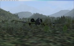 ss2006.jpg