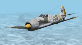 FW190A-6 JG51 Winter.jpg