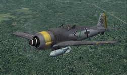 FW190F-8 Grun 2.jpg