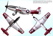F-51 FF-522 133 FBW Robert Peczkowski.jpg