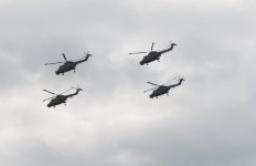 lynx3.jpg