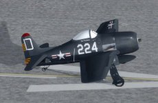 bearcat2.jpg