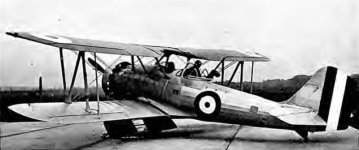 SOH-14.jpg