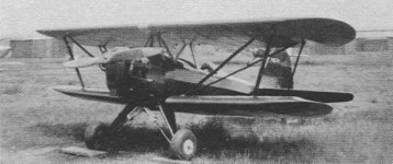 Kozlowski Short T.jpg