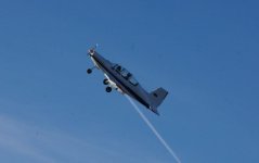 Delfin 10, foto 2.jpg