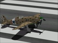 Macchi202.jpg