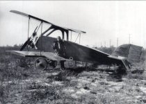 SOH-20.jpg
