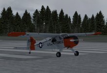 usafgrey3.jpg