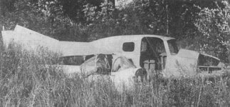 Larsen jet.jpg