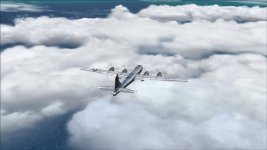 sc116.jpg