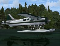 CF-LRS STOL Float.jpg