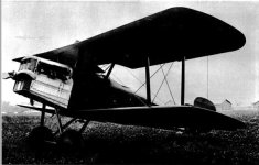 SOH-34.jpg