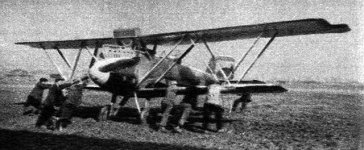 60043222s2.jpg