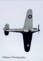 Hurri P2902.jpg