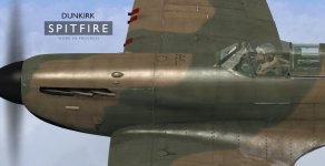 Spit10.jpg