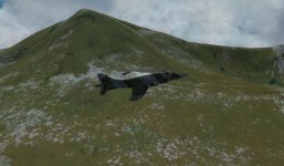 Valley Harrier.jpg