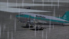 Buffalo ski.jpg