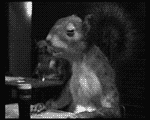 avatar3_24.gif