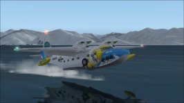 Turbo mallard.jpg