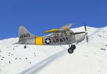 L-5.jpg