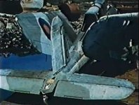 Skuaincolour.jpg