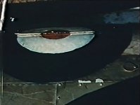 Skua h.jpg