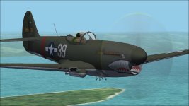 P-40Q-3-CU n.jpg