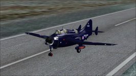 Fairly Gannet.jpg