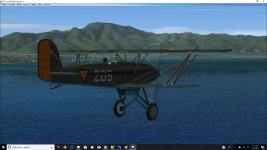 D17-205.jpg