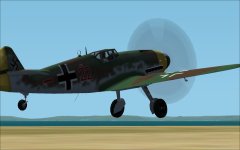Bf01.jpg