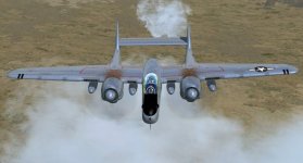 Prowling.jpg