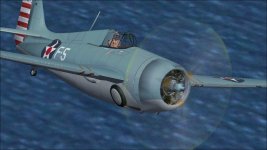 Wildcat F-5 h.jpg
