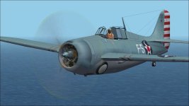 Wildcat F-5 g.jpg