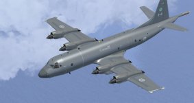 cp-140wingchip2.jpg