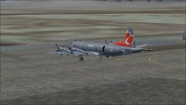 Canuck P-3 ladder extended.jpg